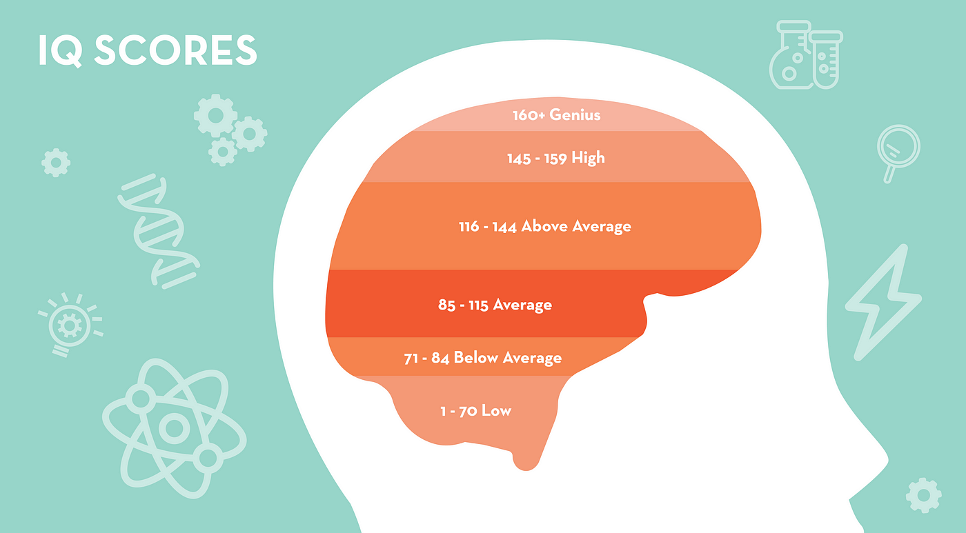 Cuma Butuh Kurang dari Satu Jam Buat Ukur Potensi Otak Kamu — Ayo Mulai Lewat Tes IQ Online!