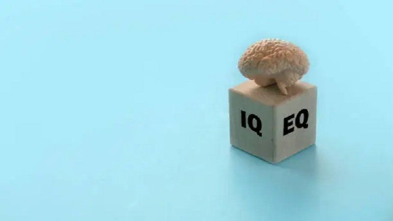 Arti Angka dalam Kategori Tes IQ Online