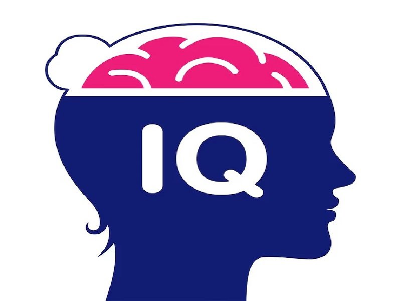 Alasan Tes IQ Online Akurat Jadi Aspek Penting dalam Mengenal Kemampuan Kognitif