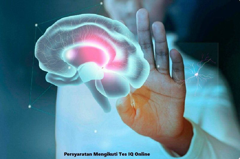 Persyaratan Mengikuti Tes IQ Online