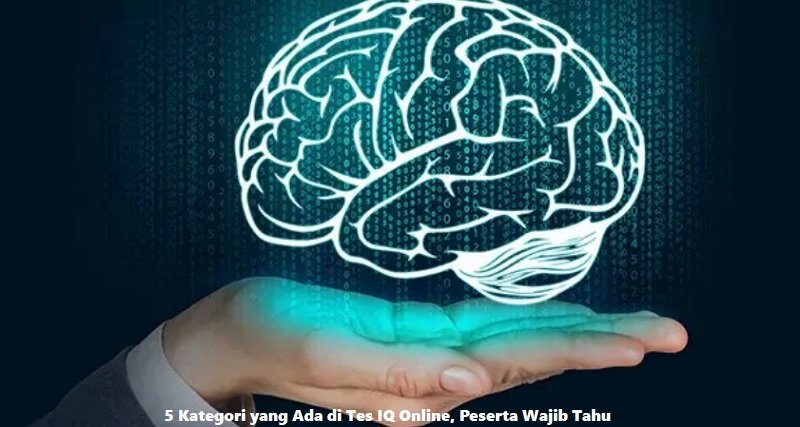 5 Kategori yang Ada di Tes IQ Online, Peserta Wajib Tahu