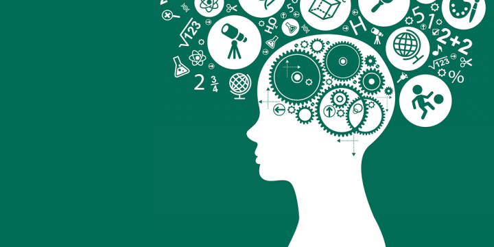 Talent Mapping Lebih Akurat Jika Menggunakan Tes Minat Bakat Online