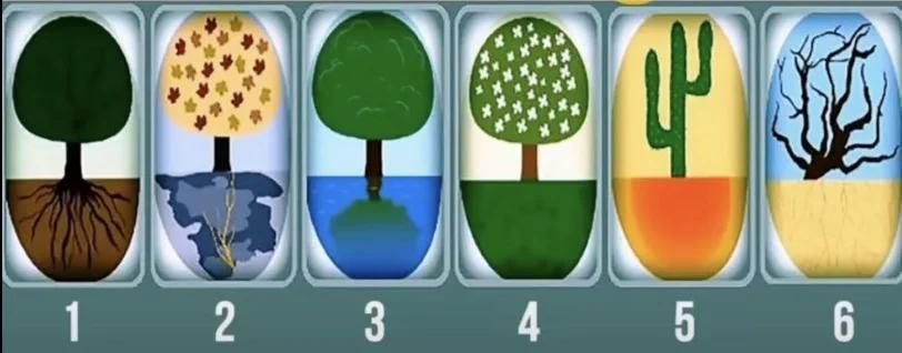 Ngerasa Punya Banyak Teman Tapi Tetap Sepi? Tes Kepribadian Online Bantu Kamu Kenali Kebutuhan Sosial