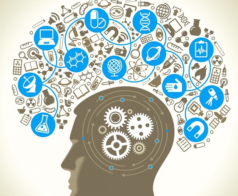 Tes IQ Online, Peserta Bisa Mengerjakan Soal Secara Terstruktur dengan Waktu Terkontrol