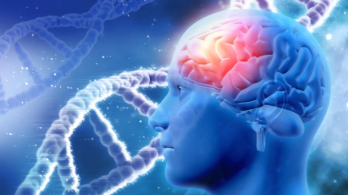Perhatikan 5 Hal ini Agar Hasil Tes IQ Online Lebih Akurat