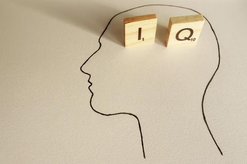 Tes IQ Online Akurat, Alat Evaluasi yang Digunakan untuk Menilai Kemampuan Kognitif Seseorang