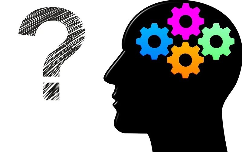 Pentingnya Mengikuti Tes IQ Online Akurat Sebelum Menentukan Arah Karier Baru