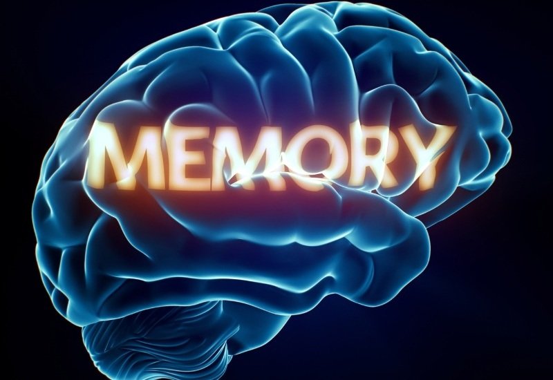 Pentingnya Tes IQ Online Akurat untuk Ukur Kapasitas Memori Kerja
