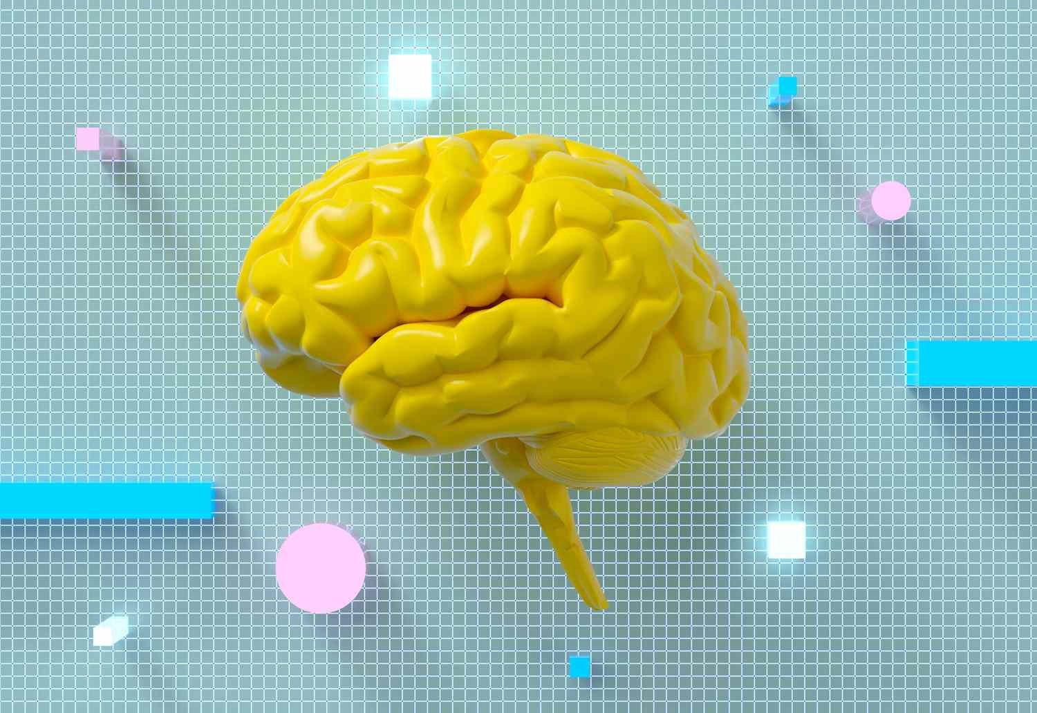 Panduan Memilih Tes IQ Online Akurat untuk Mengukur Kecerdasan Anak