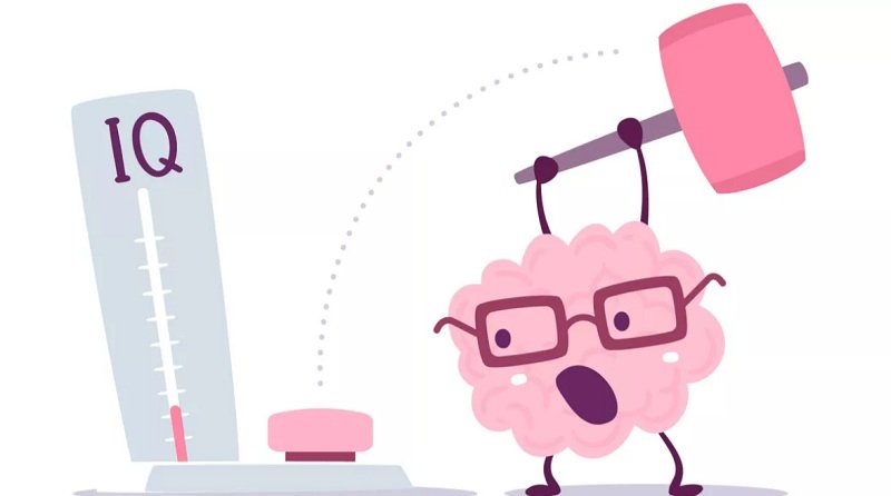 Usia yang Tepat untuk Mengikuti Tes IQ Online Akurat