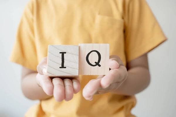 Tes IQ Dewasa Online: Praktis, Terstruktur, dan Mudah Diakses