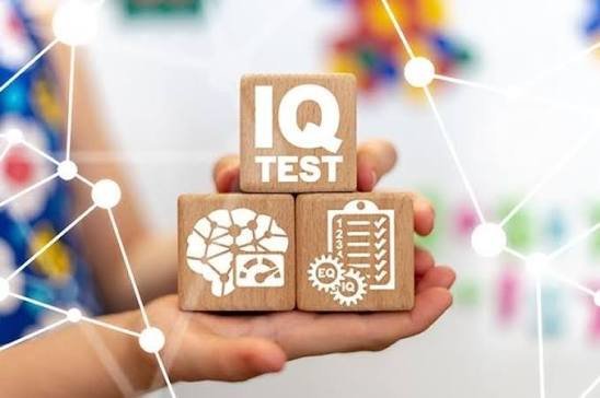 Berapa Biaya Tes IQ Online untuk Dewasa?