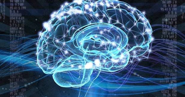 Mengapa Tes IQ Dewasa Penting untuk Pemetaan Kemampuan?