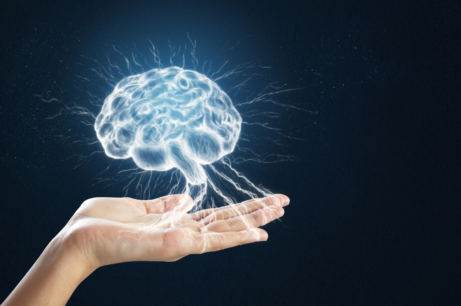 Berapa Lama Hasil Tes IQ Dewasa Diterima?