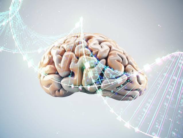Tes IQ untuk Kerja: Mengapa Digunakan dalam Seleksi?