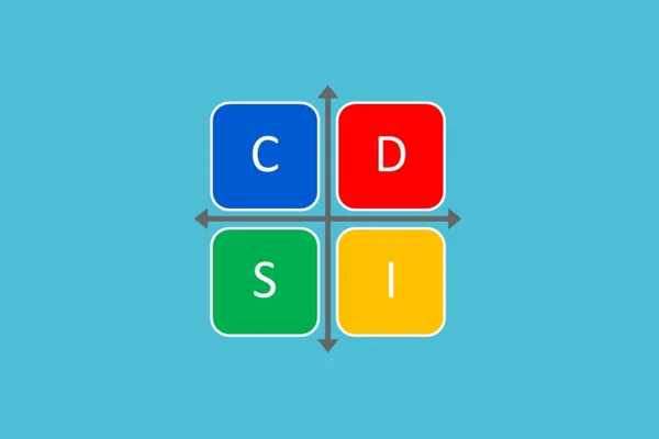 Setelah Mengerjakan DISC Test, Apa yang Bisa Diketahui dari Hasilnya?