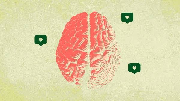 Cara Mengikuti Tes Psikologi Online Gratis dari Rumah