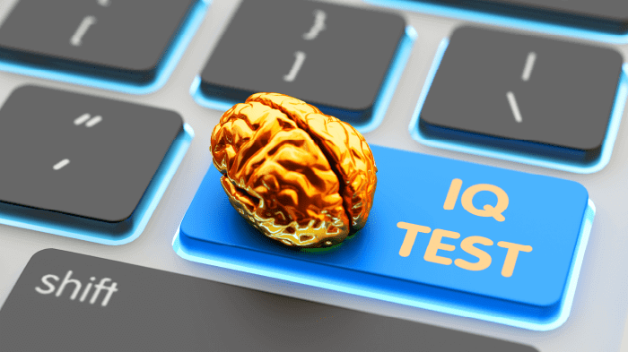 Mengenal Tes IQ Online dengan Hasil Langsung Setelah Pengerjaan