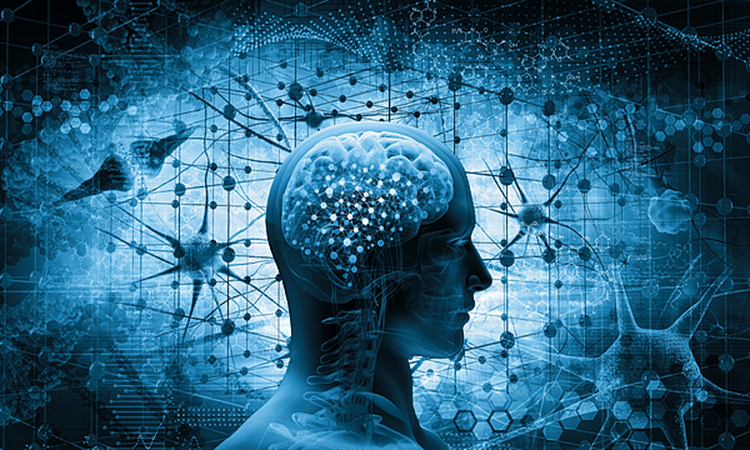 Cara Tes IQ Online Lewat HP dengan Praktis dan Nyaman