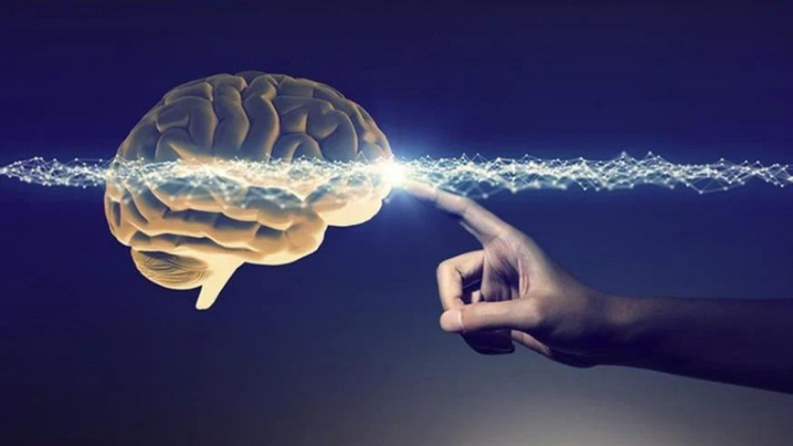 Cara Tes IQ Online: Strategi Pengerjaan Tes