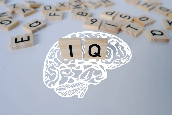 Tes IQ Online Bersertifikat dengan Verifikasi Identitas Peserta