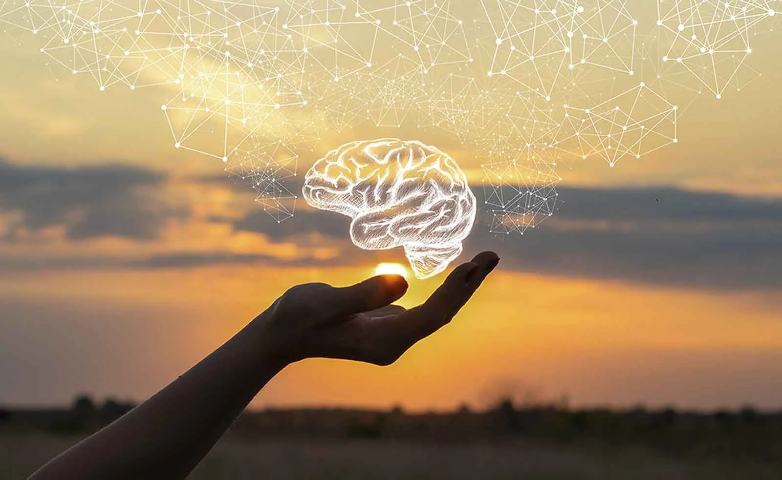 Mengenali Tanda Kebutuhan Dukungan Psikologis melalui Tes Mental Anda